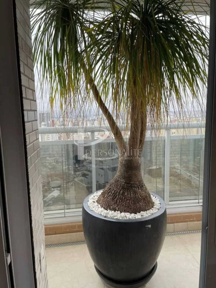 Apartamento, 3 quartos, 297 m² - Foto 4