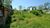 Terreno, 270 m² - Foto 4