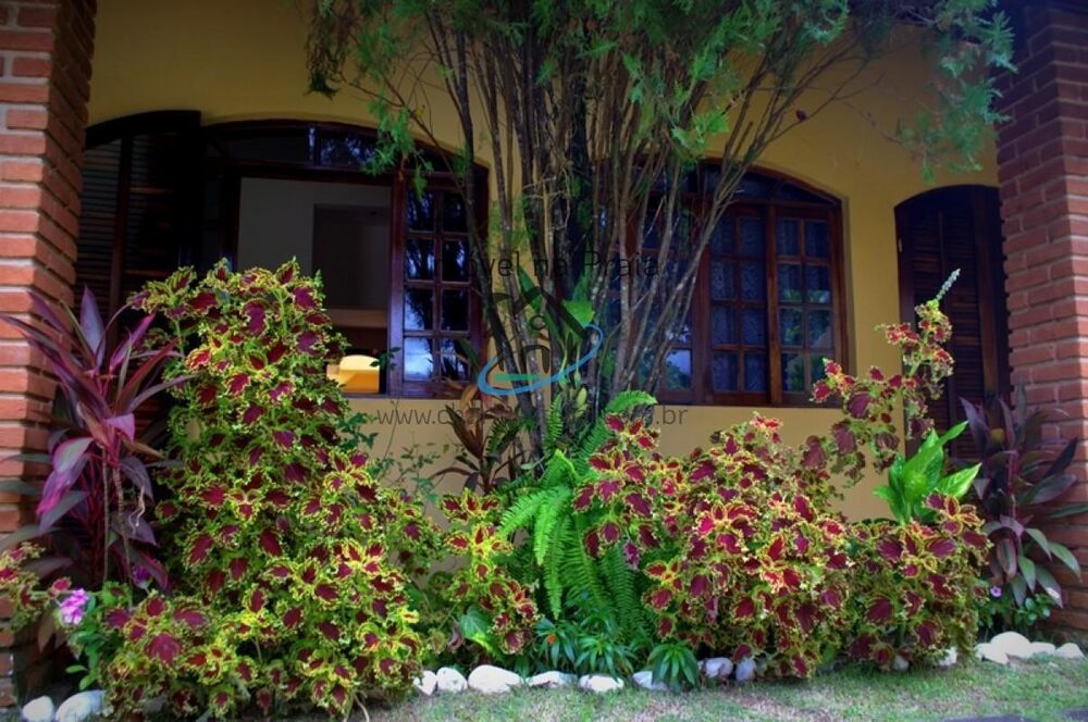 Casa, 6 quartos - Foto 4