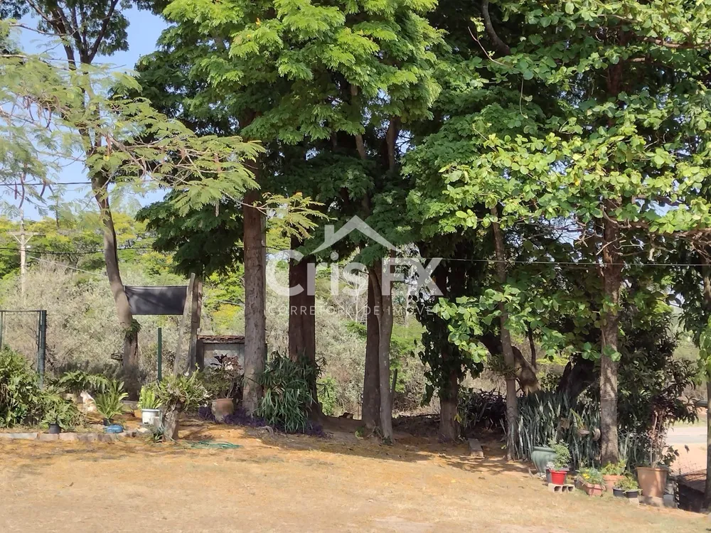 Sítio, 8 quartos, 2160 m² - Foto 4