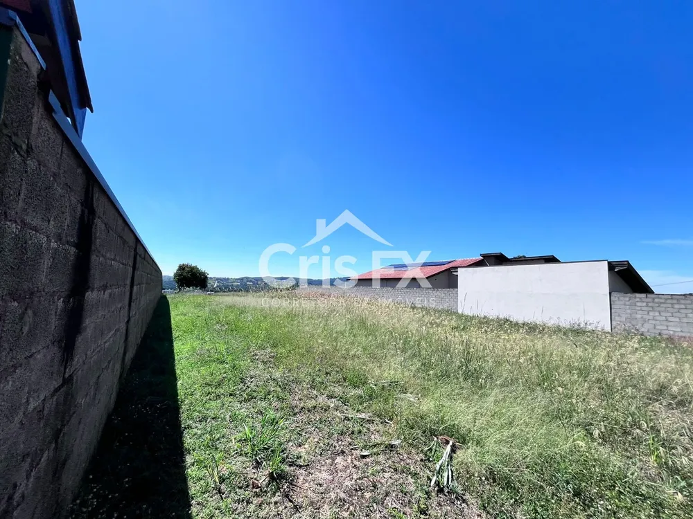 Terreno, 1564 m² - Foto 4