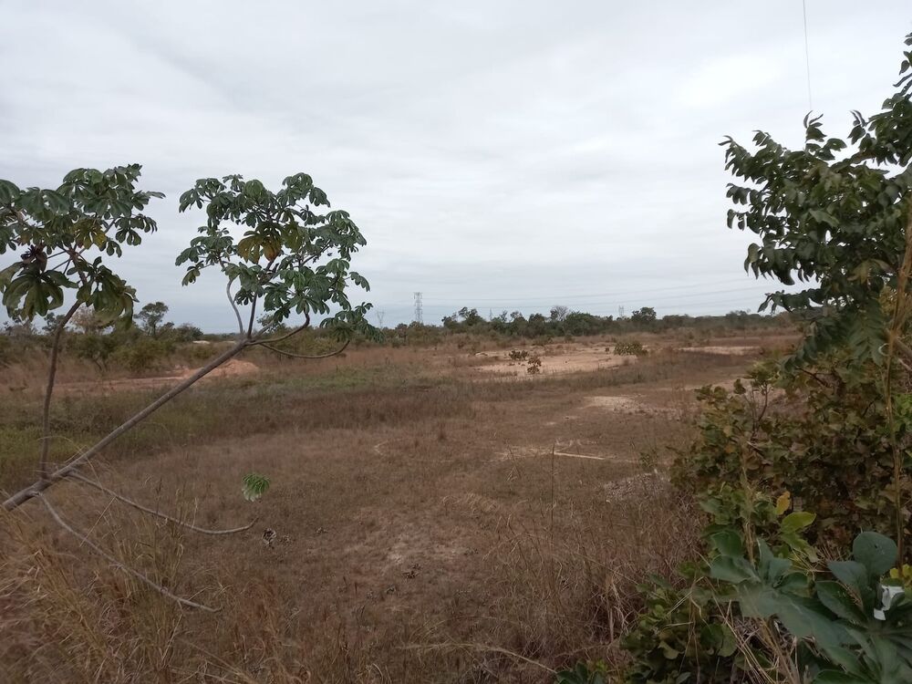 Terreno - Foto 2