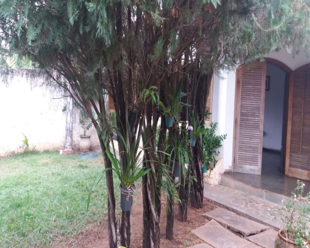 Casa, 3 quartos, 427 m² - Foto 4