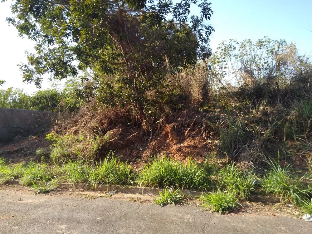 Loteamento e Condomínio - Foto 11