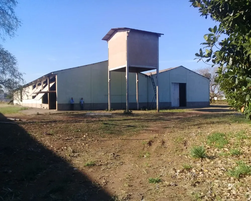 Imóvel Comercial, 22000 m² - Foto 9