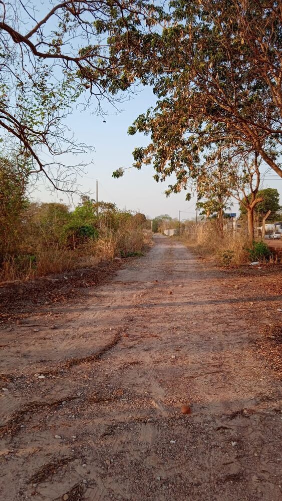 Chácara, 1 quarto - Foto 3