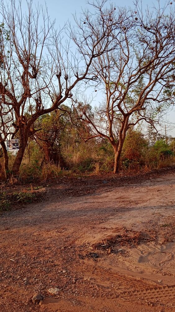 Chácara, 1 quarto - Foto 4