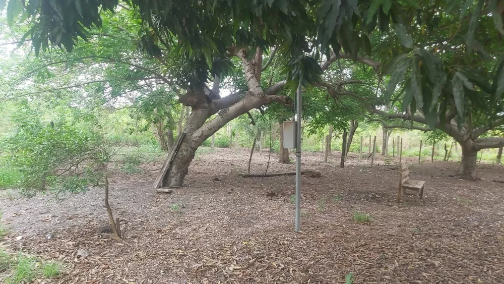 Chácara, 2 quartos, 14 m² - Foto 2