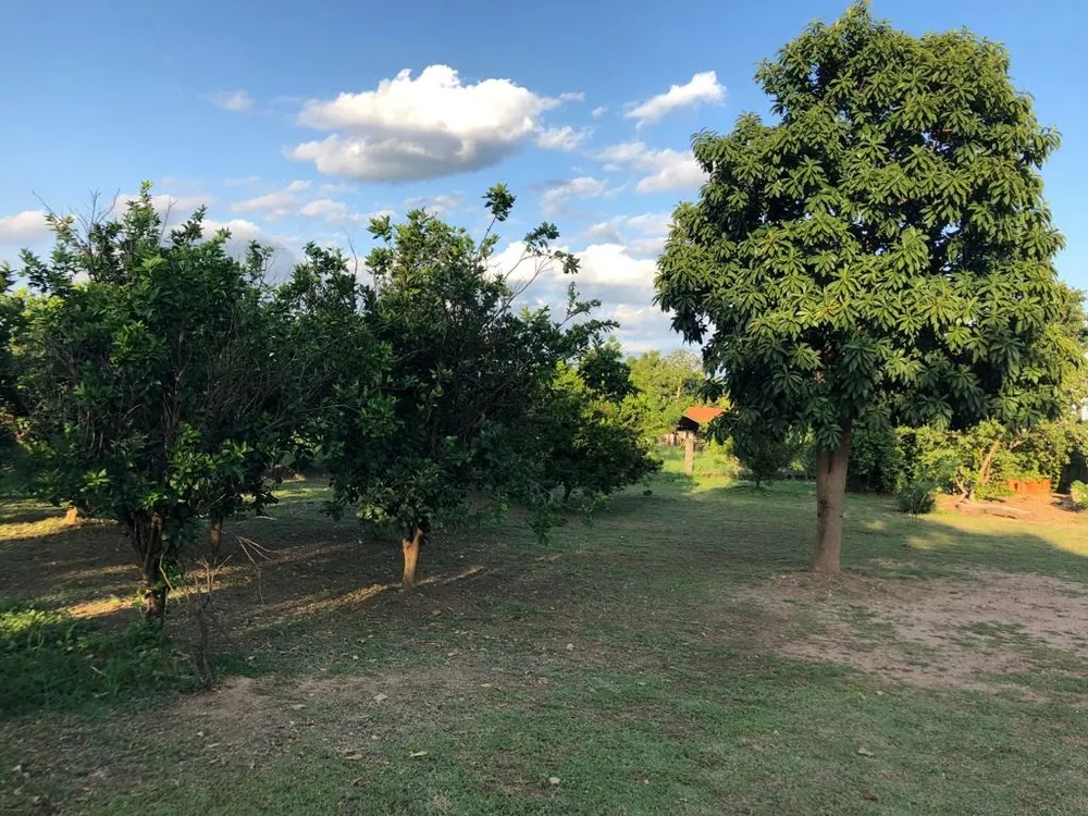 Chácara, 3 quartos, 2 hectares - Foto 1