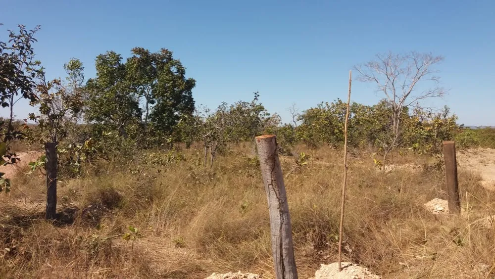 Terreno - Foto 7