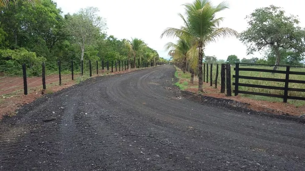 Fazenda à venda com 6 quartos - Foto 3