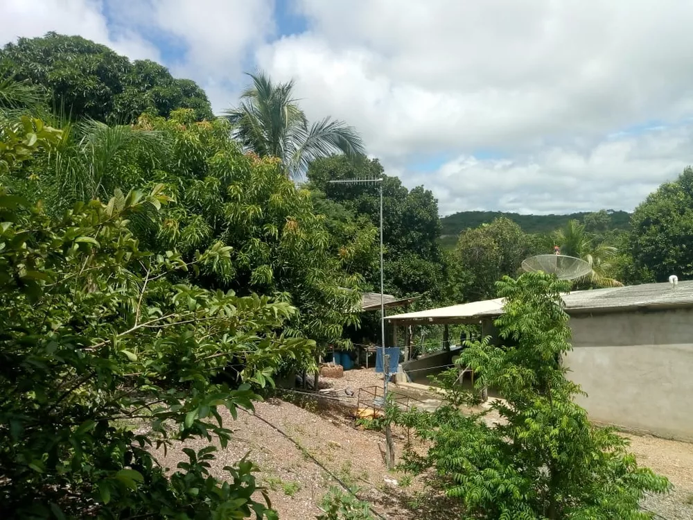 Chácara, 1 quarto - Foto 5