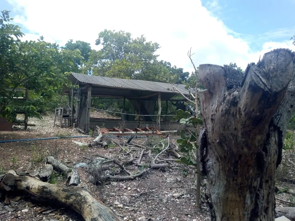 Chácara, 1 quarto - Foto 7