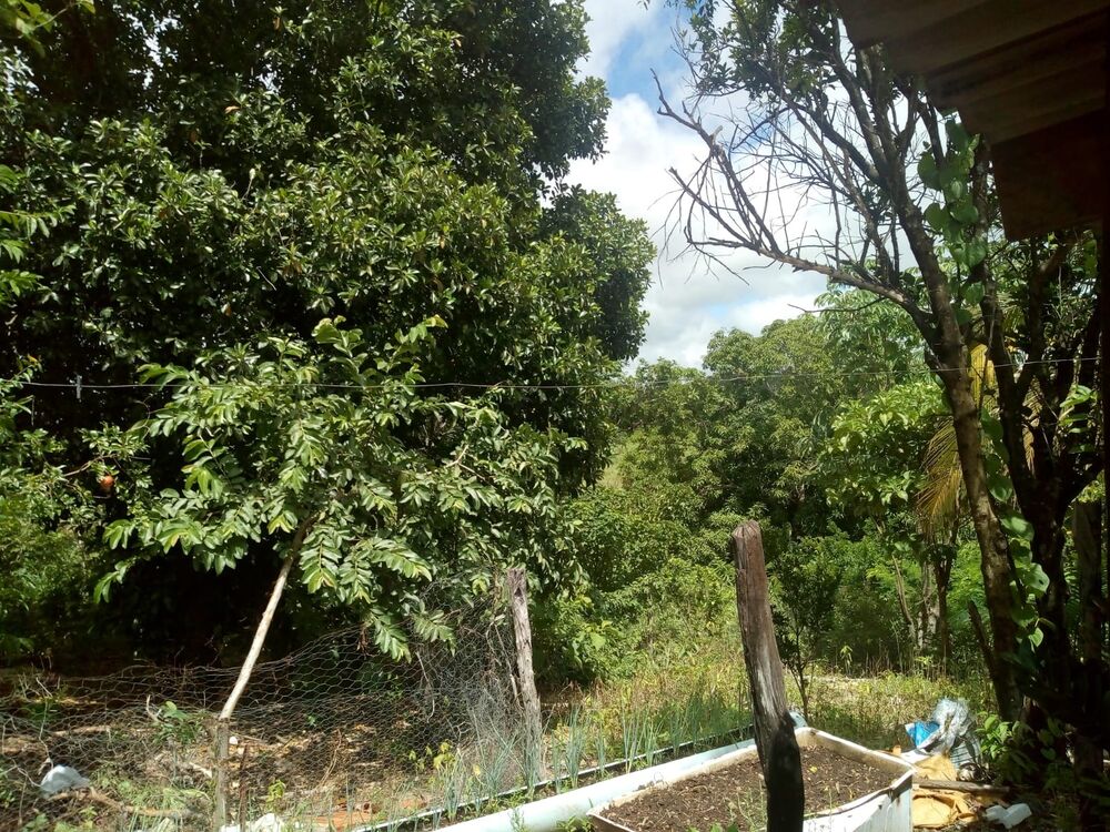 Chácara, 1 quarto - Foto 11