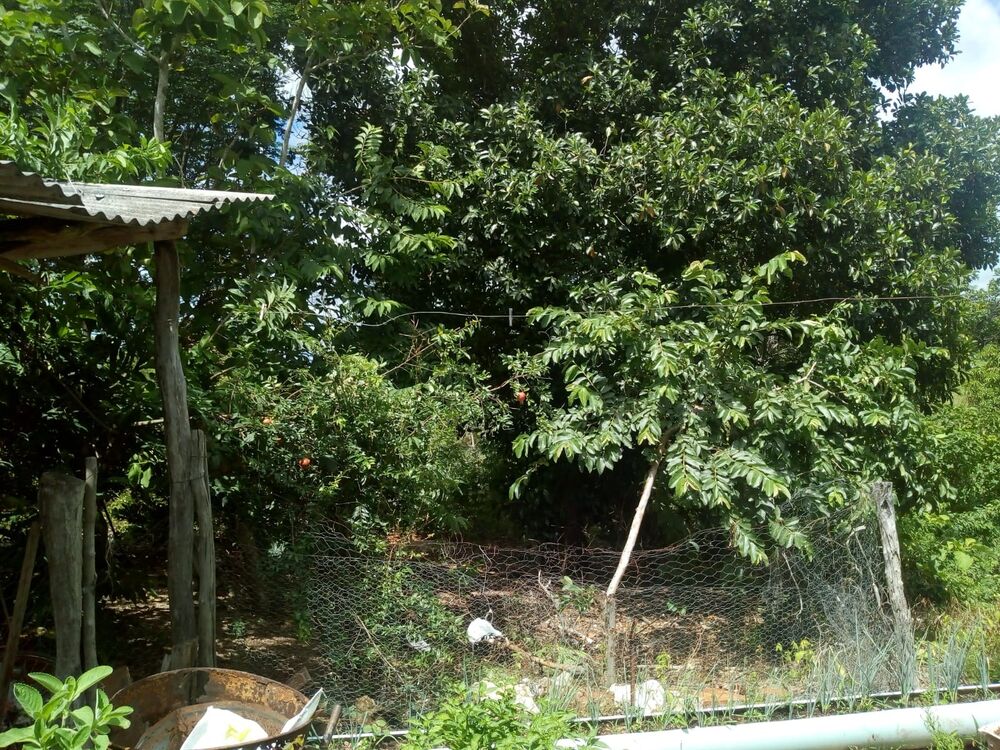 Chácara, 1 quarto - Foto 9