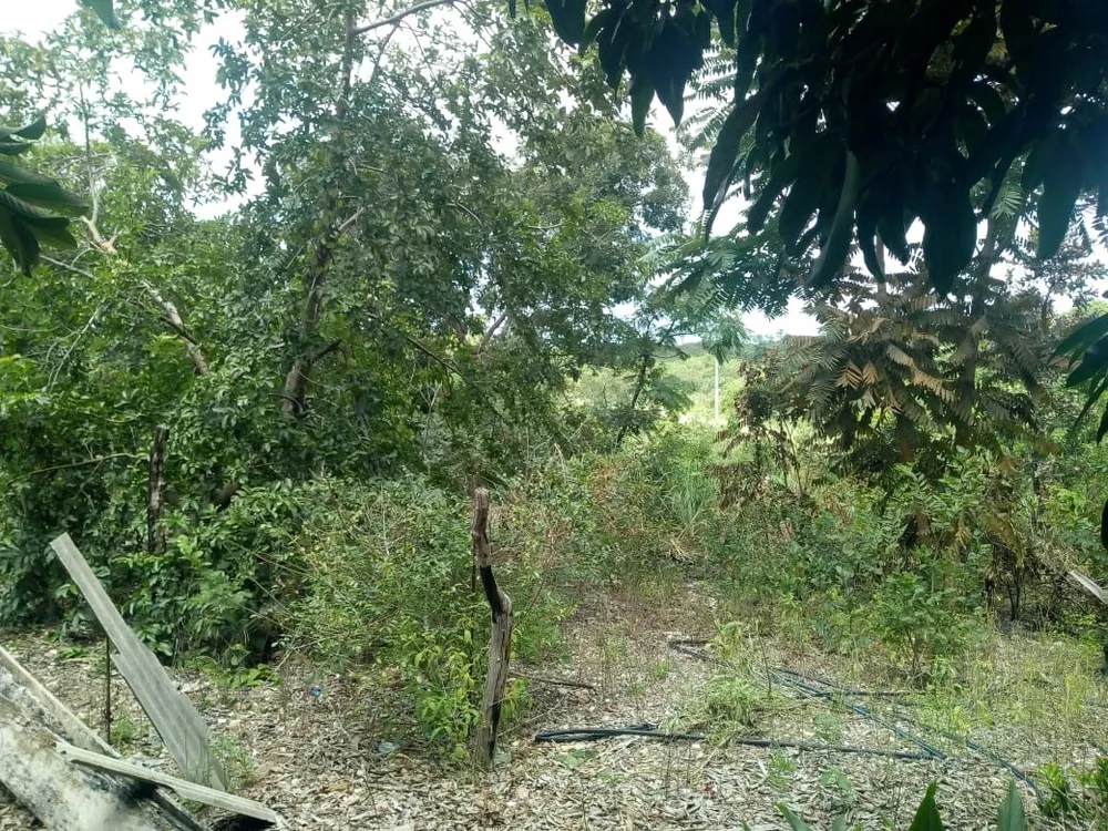 Chácara, 1 quarto - Foto 6