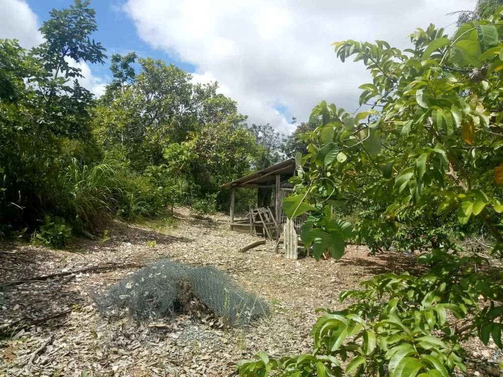 Chácara, 1 quarto - Foto 4