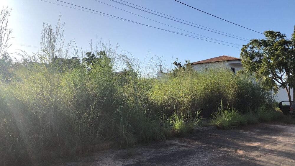 Terreno à venda - Foto 3