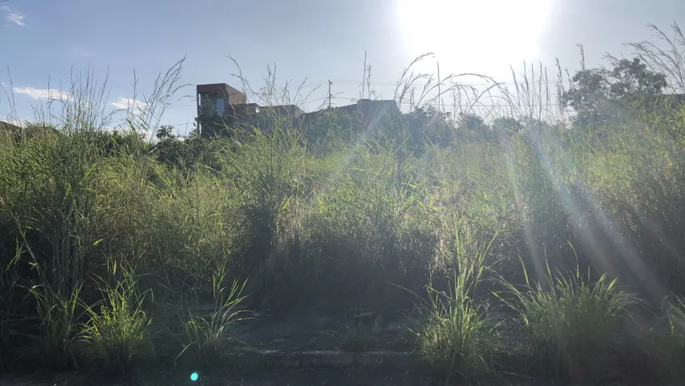 Terreno - Foto 6