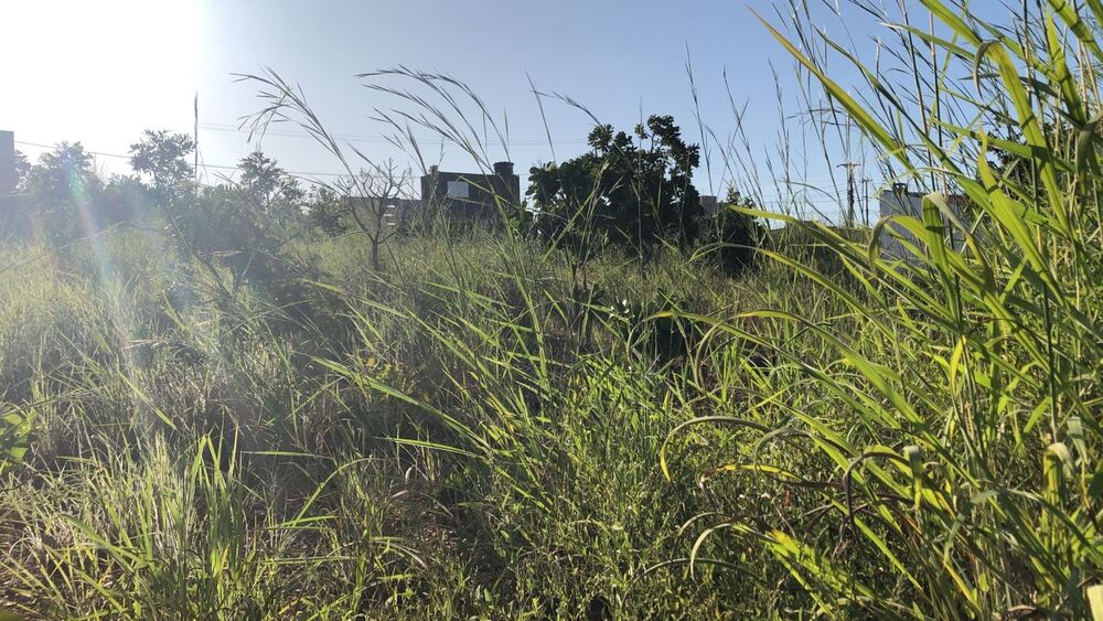 Terreno à venda - Foto 2