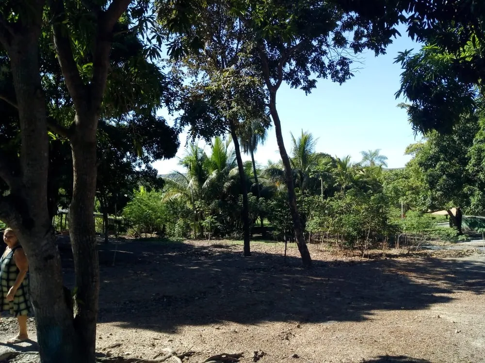 Chácara, 4 quartos - Foto 1