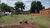 Terreno - Foto 4