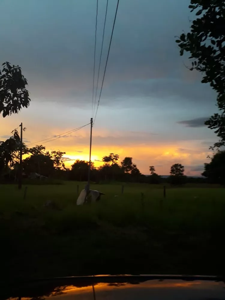 Sítio, 55 quartos, 38 m² - Foto 12