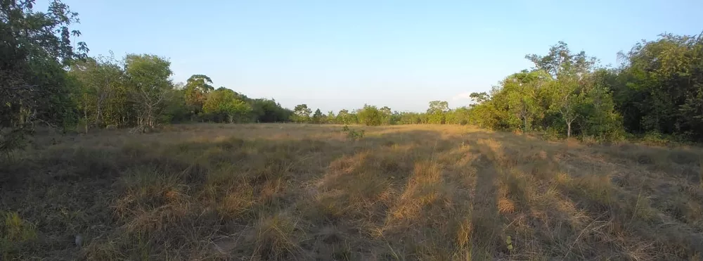 Sítio, 55 quartos, 38 m² - Foto 8