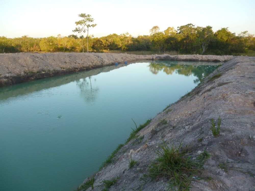 Sítio, 55 quartos, 38 m² - Foto 10