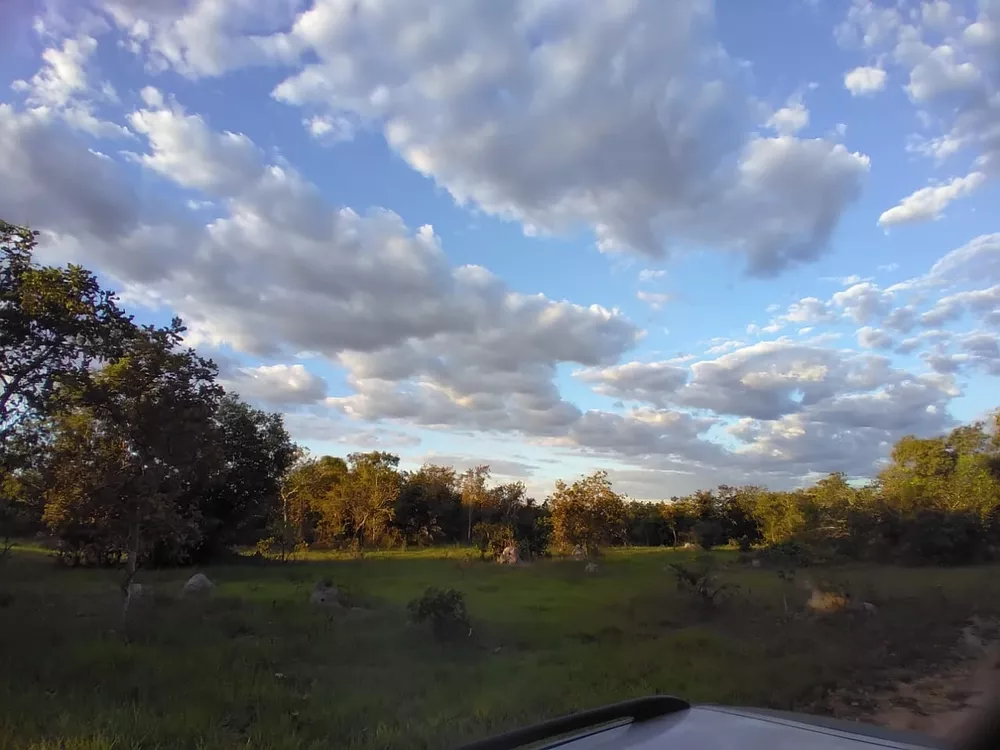 Sítio, 55 quartos, 38 m² - Foto 7