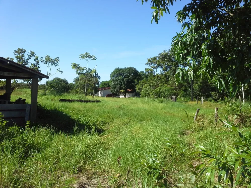 Sítio, 55 quartos, 38 m² - Foto 2