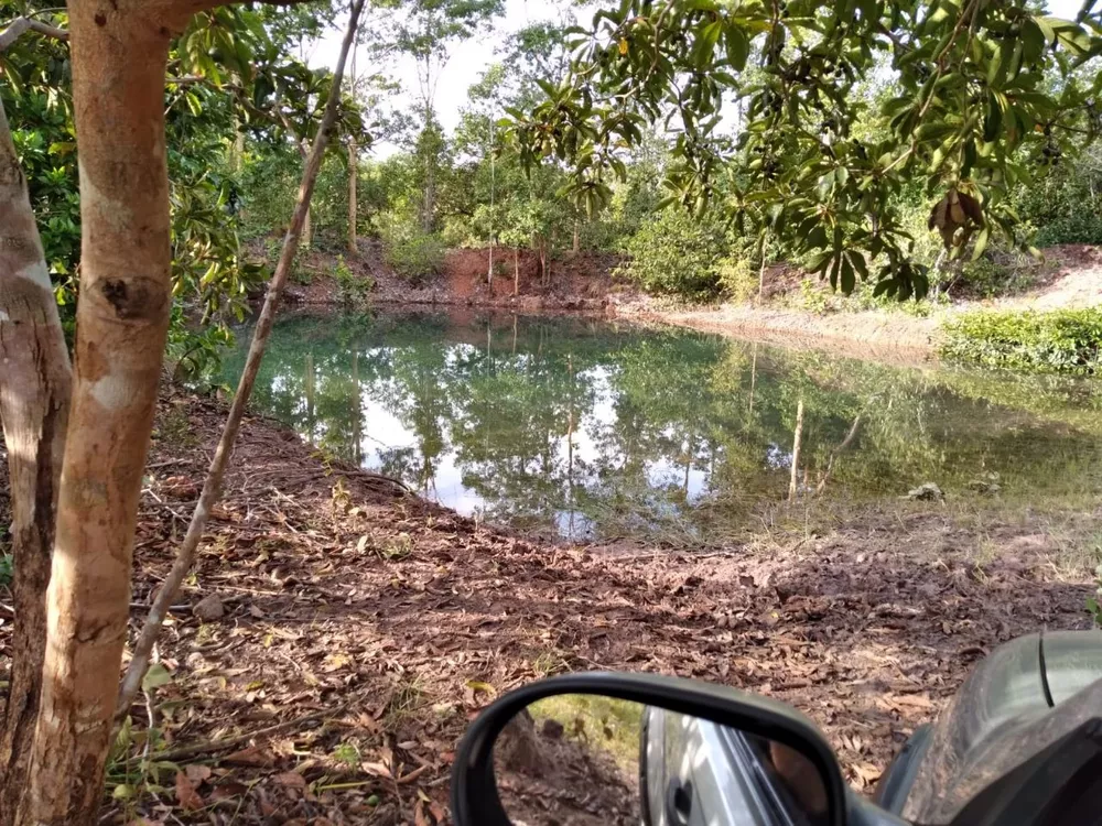 Sítio, 55 quartos, 38 m² - Foto 9