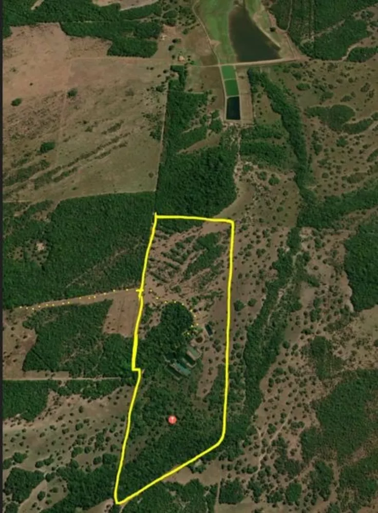 Sítio, 55 quartos, 38 m² - Foto 1