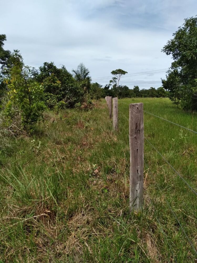 Sítio, 55 quartos, 38 m² - Foto 3