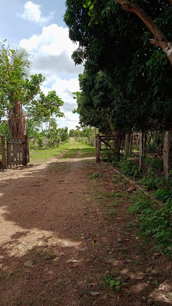 Chácara, 3 quartos - Foto 12