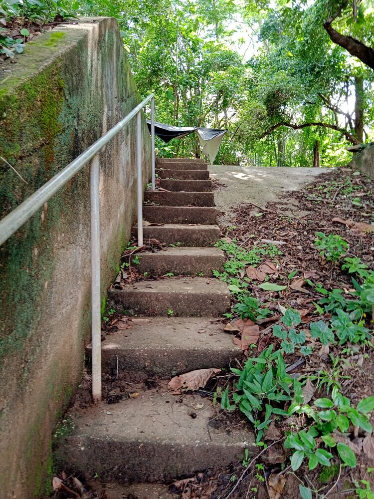 Chácara, 3 quartos - Foto 6