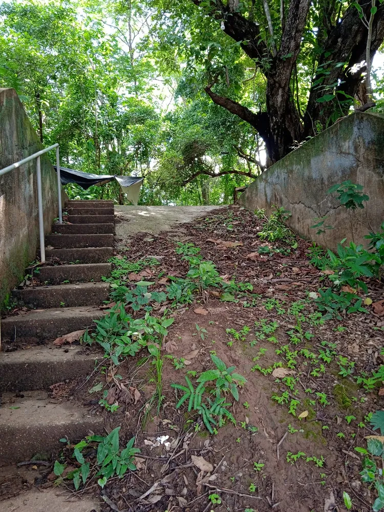 Chácara, 3 quartos - Foto 13