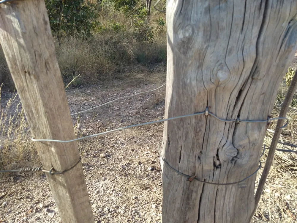 Terreno, 1 hectares - Foto 7