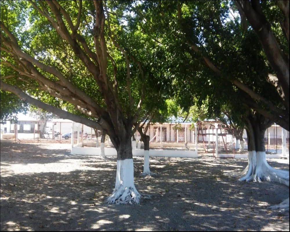 Terreno, 1000 m² - Foto 9