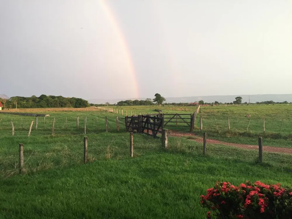 Fazenda, 4 quartos - Foto 4