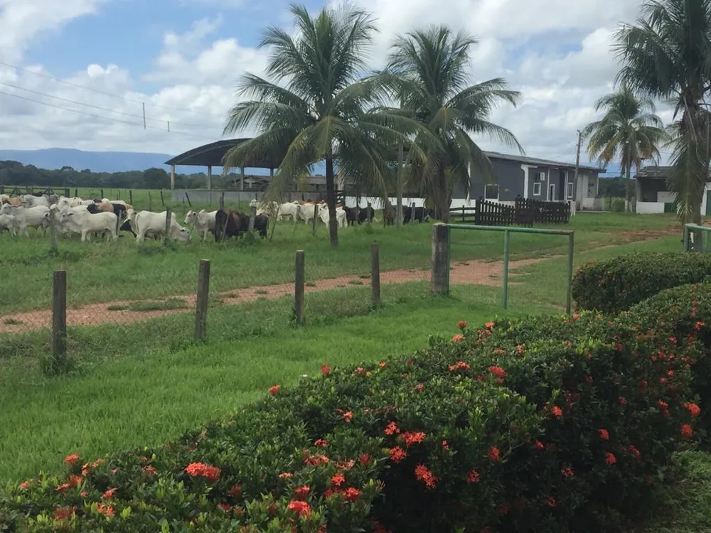 Fazenda, 4 quartos - Foto 16