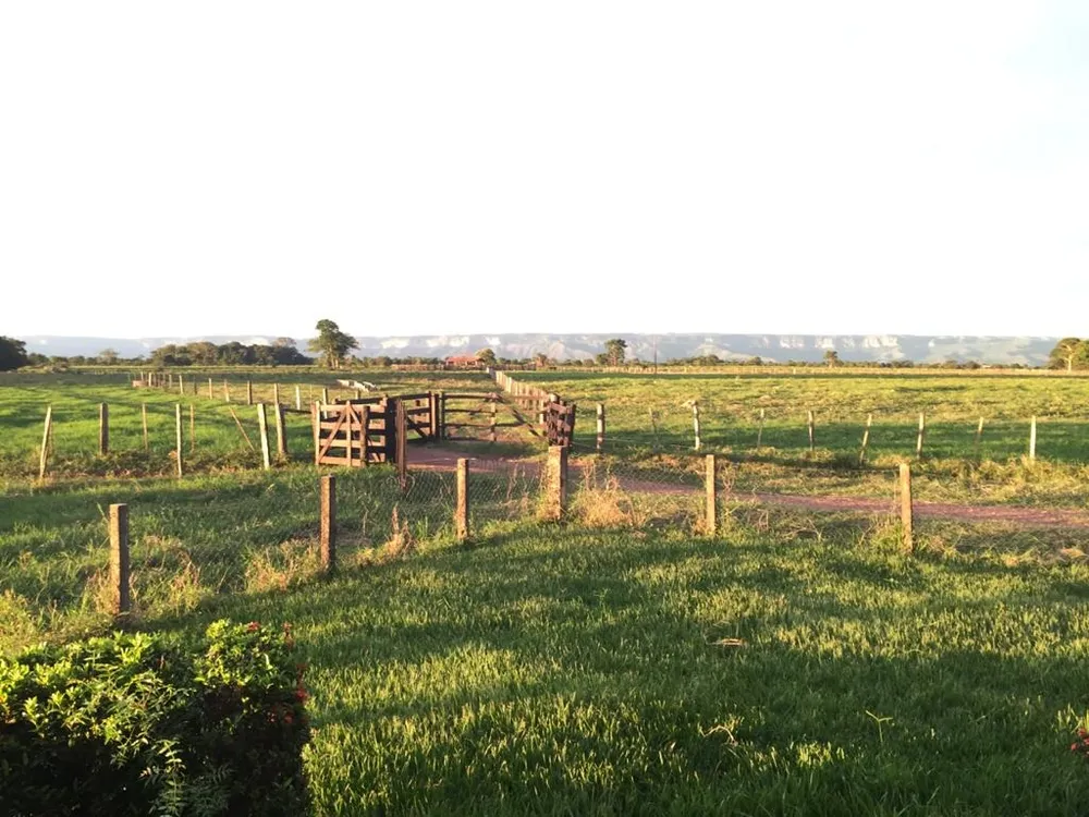 Fazenda, 4 quartos - Foto 13