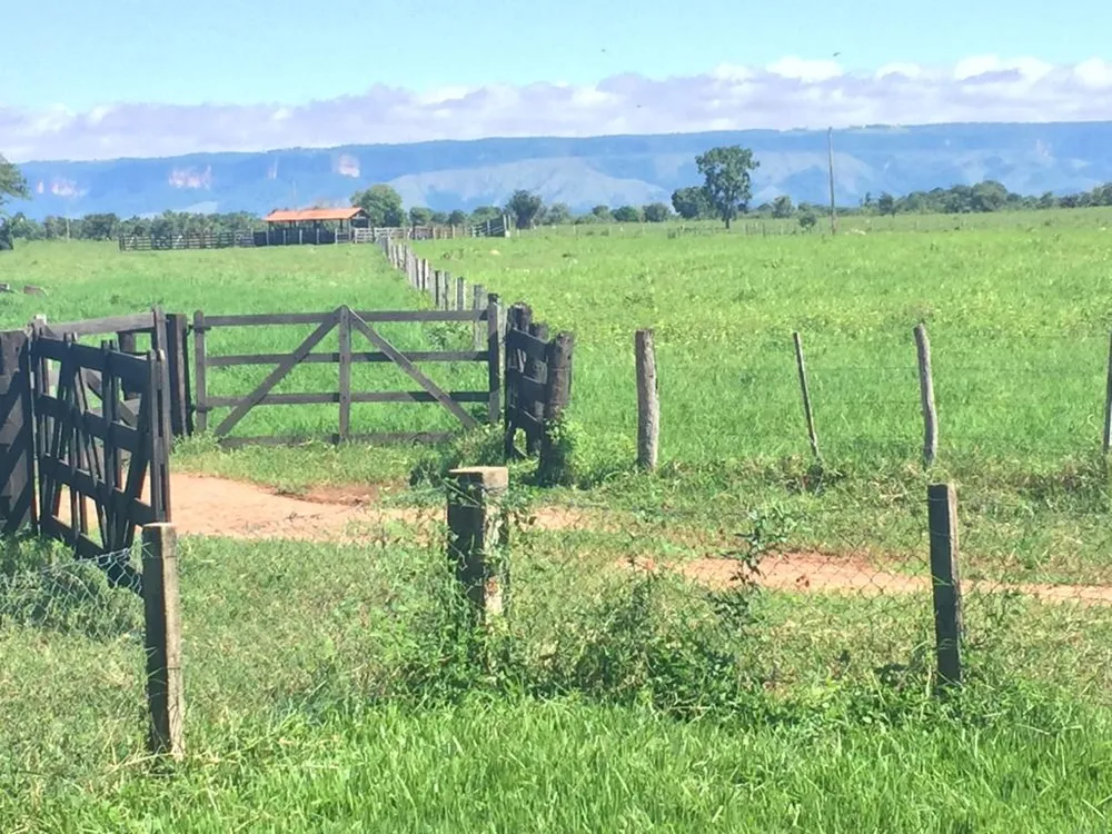 Fazenda, 4 quartos - Foto 12