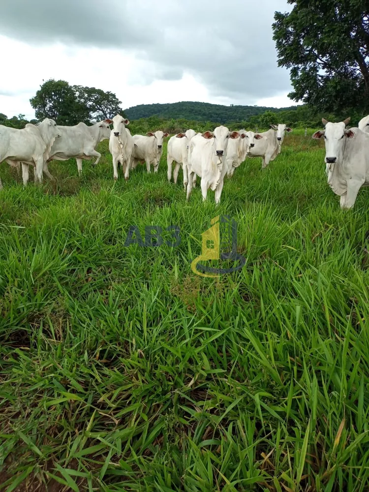 Terreno, 100 m² - Foto 6