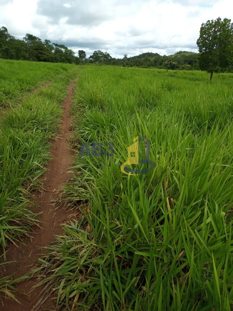 Terreno, 100 m² - Foto 12