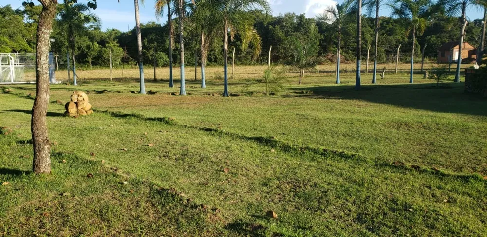 Chácara, 4 quartos - Foto 2