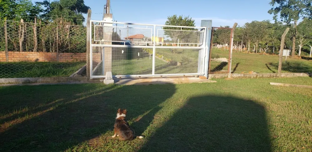 Chácara, 4 quartos - Foto 6