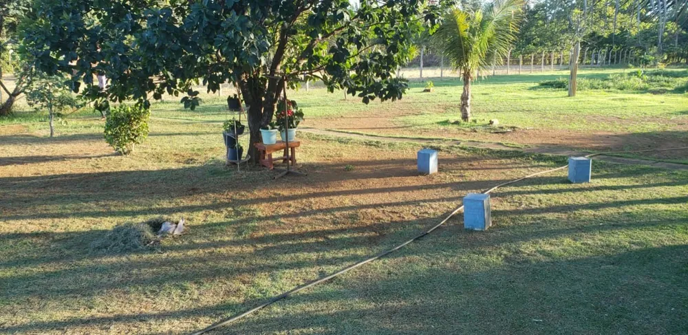 Chácara, 4 quartos - Foto 11
