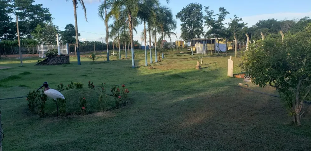 Chácara, 4 quartos - Foto 7