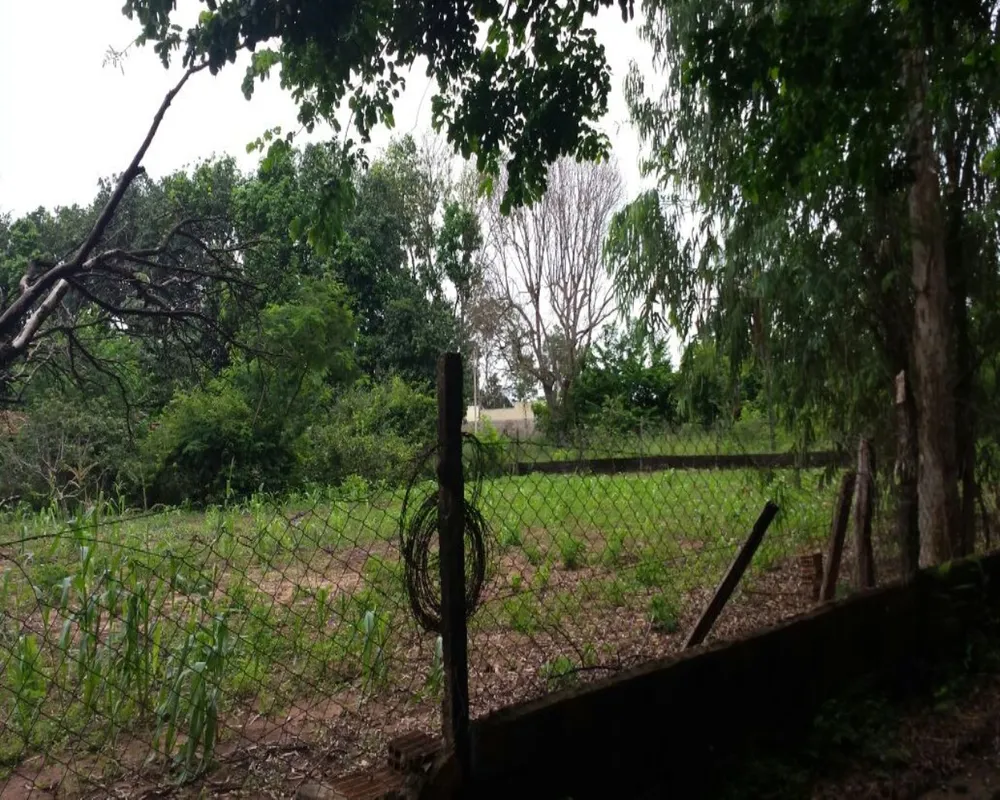 Terreno, 5000 m² - Foto 6
